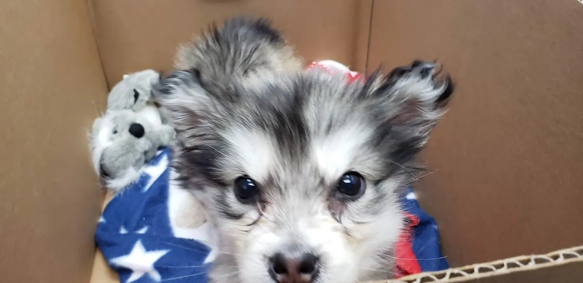 Bayonne Veterinary Medical photo 3