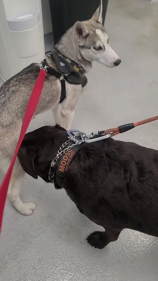 Bayonne Veterinary Medical photo 4