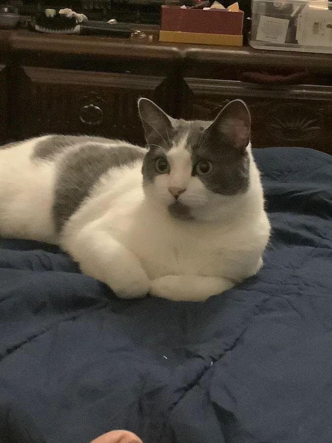 Bayonne Veterinary Medical photo 5