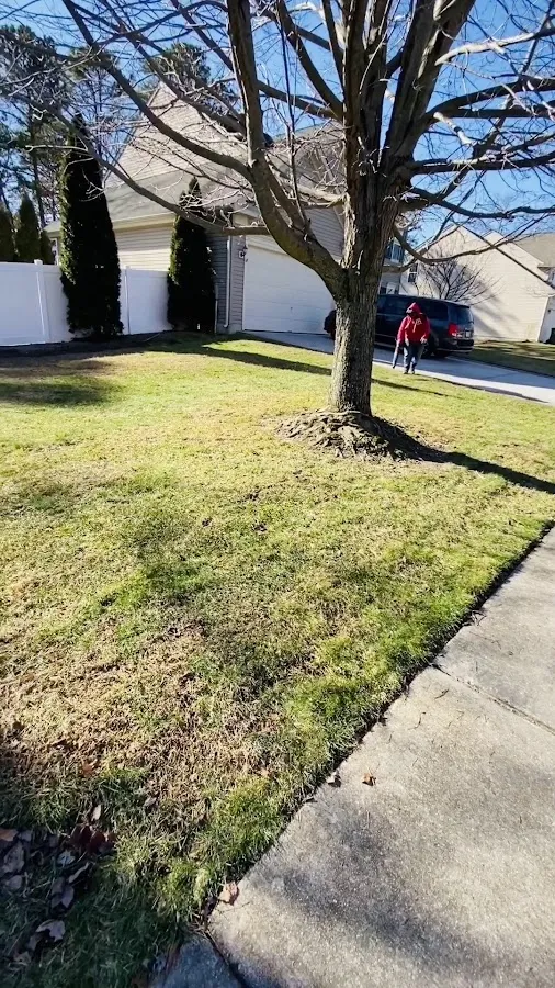 Bayside Lawn Care LLC photo 3