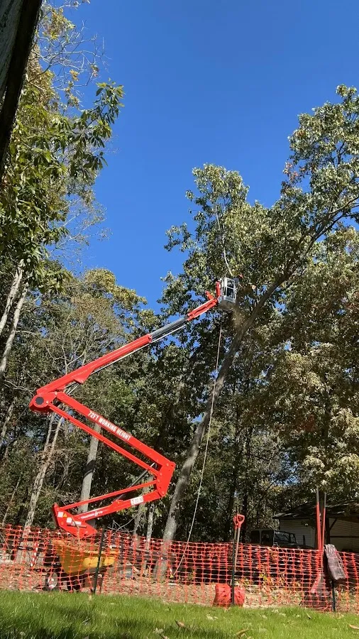 B&B Landscaping, Inc. & Tree Services photo 5