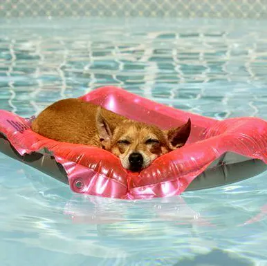 BBC Pool Service LLC photo 3