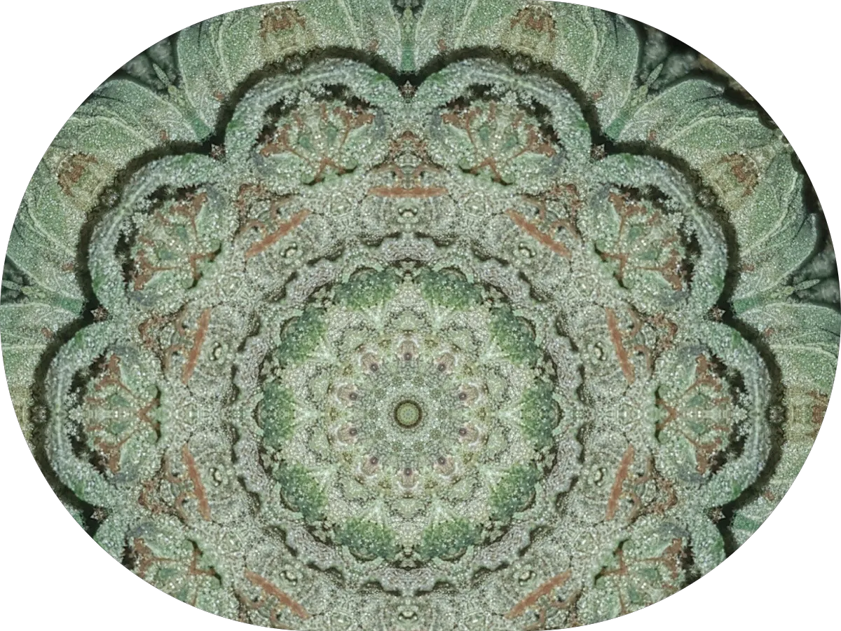 BCA Insurance Group photo 2