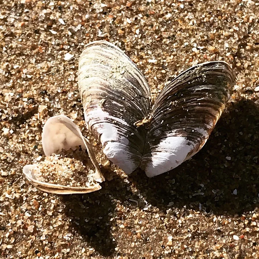 Be Visible Web Design