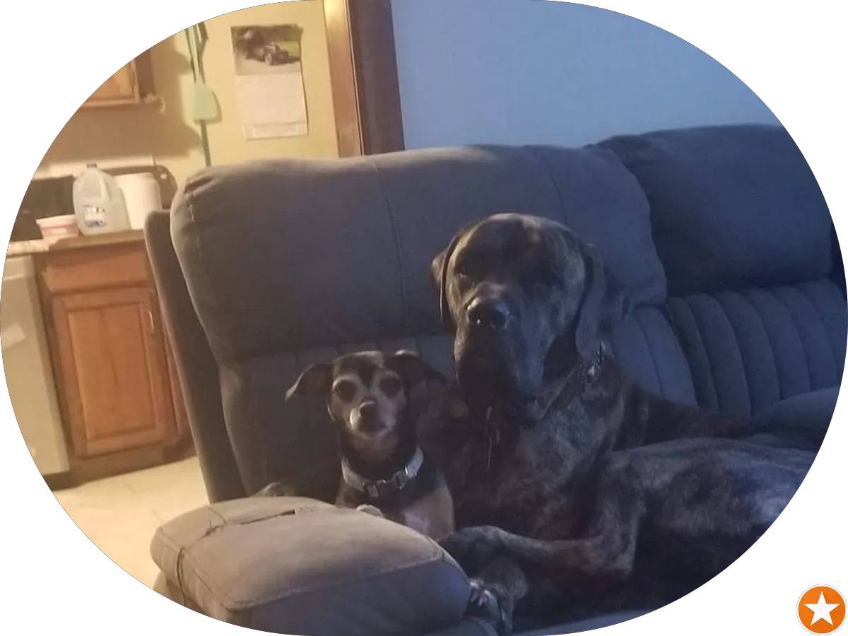 Beautiful Smile, LLC photo 5