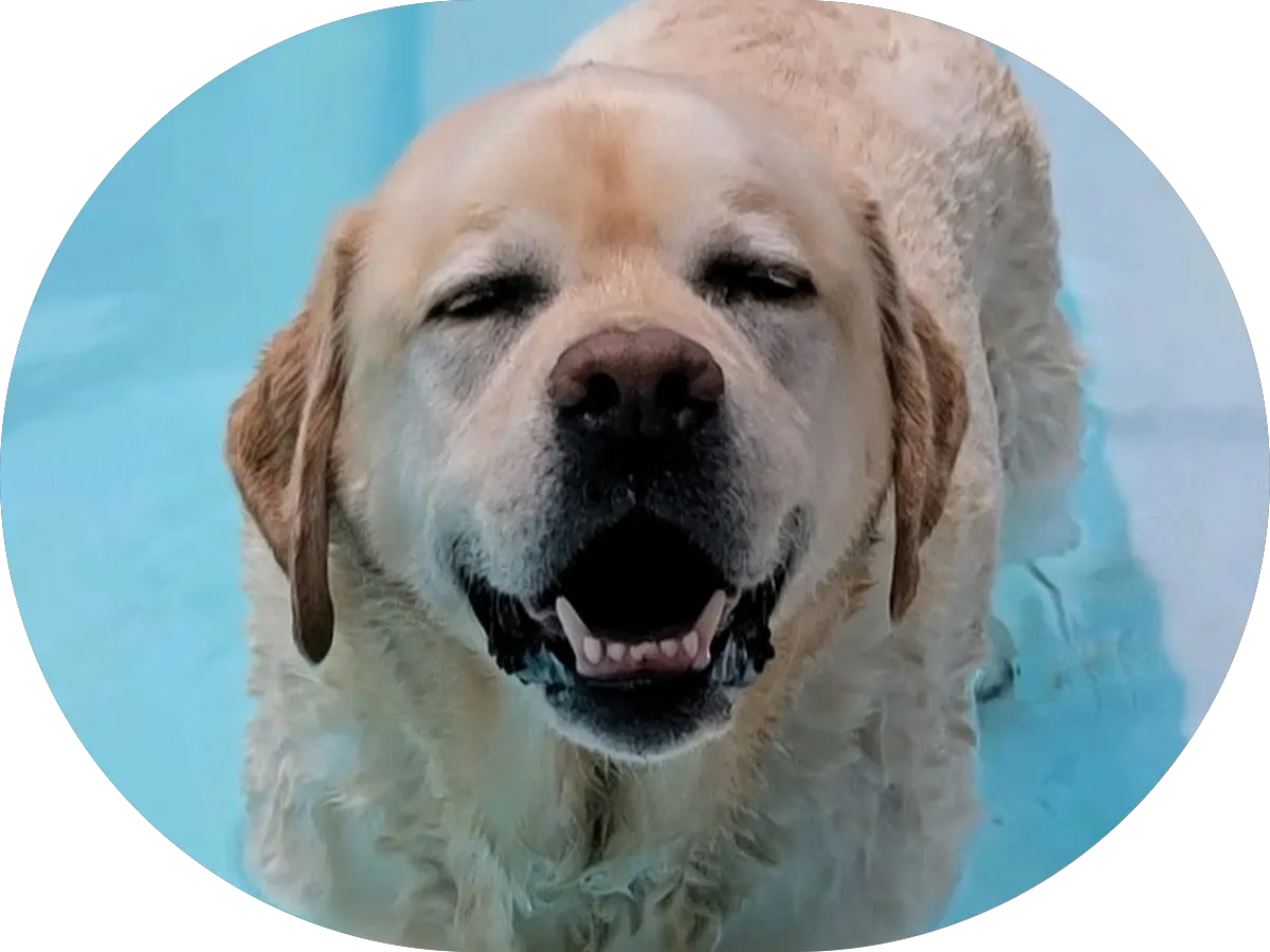 Beaver Brook Towing photo 5