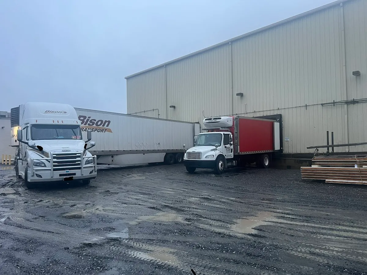 Beef International Inc