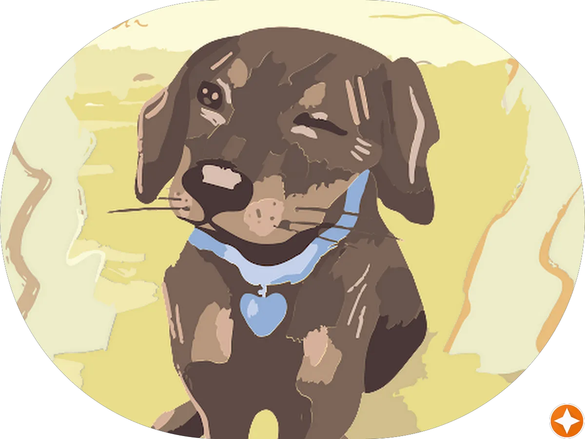 Bell Auto Sales photo 4