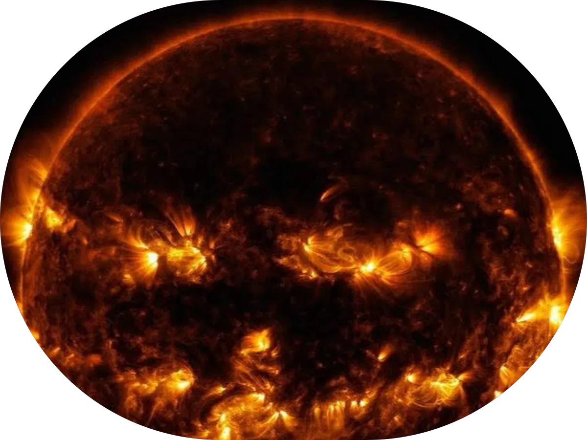 Bell Rexall Pharmacy photo 5