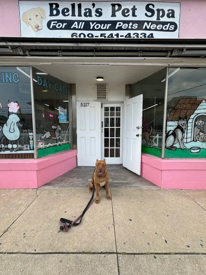 Bella’s Pet Spa photo 2