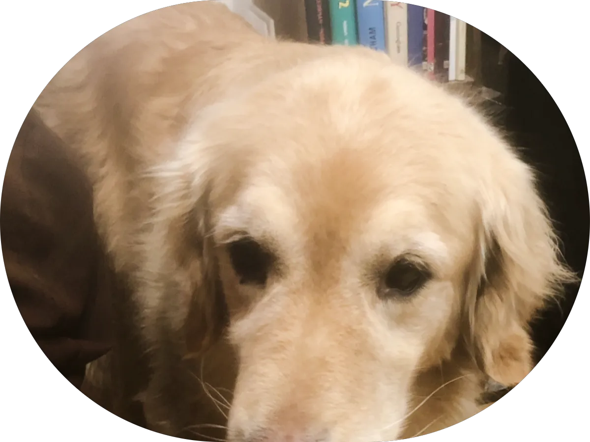 Bells Service Inc photo 4