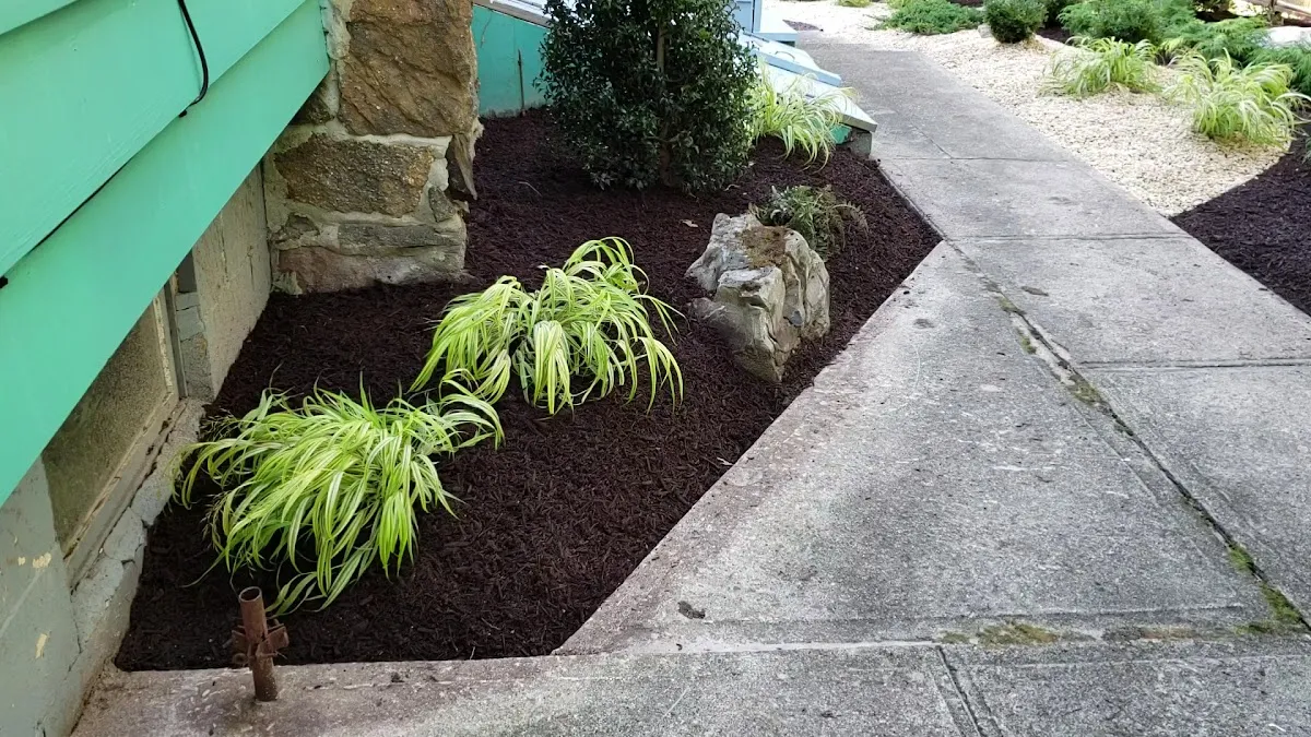 BENAVIDES DESIGN HOUSE photo 3