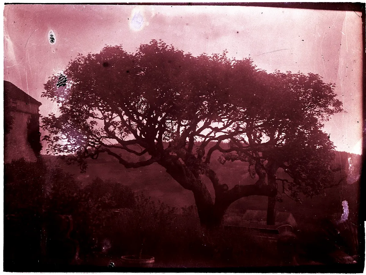 Benoit Cortet - Photographer