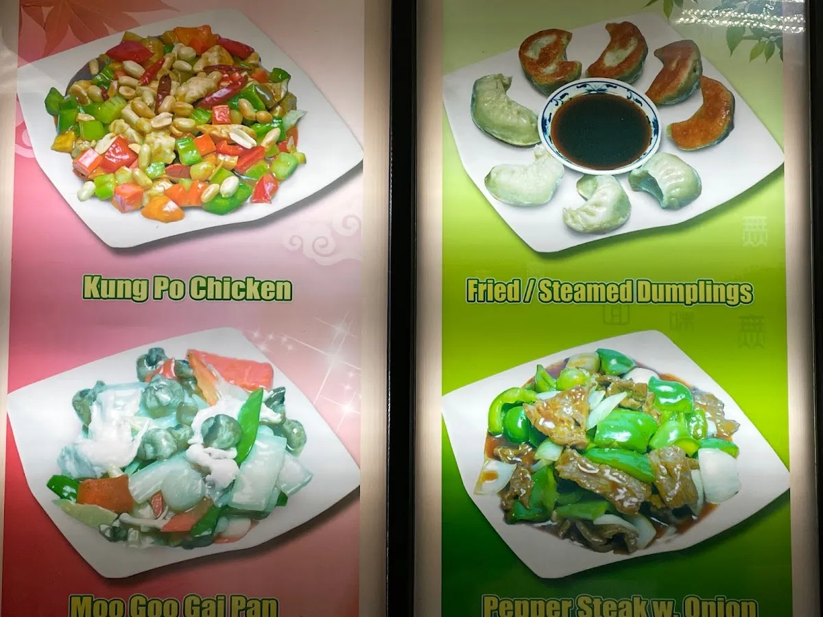 Bergen Dragon photo 3