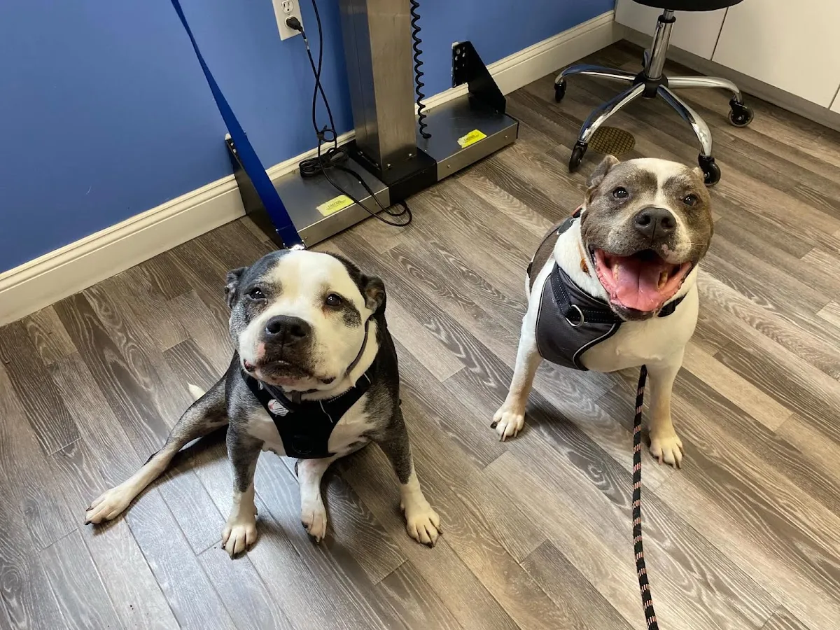 Berkeley Veterinary Center photo 2