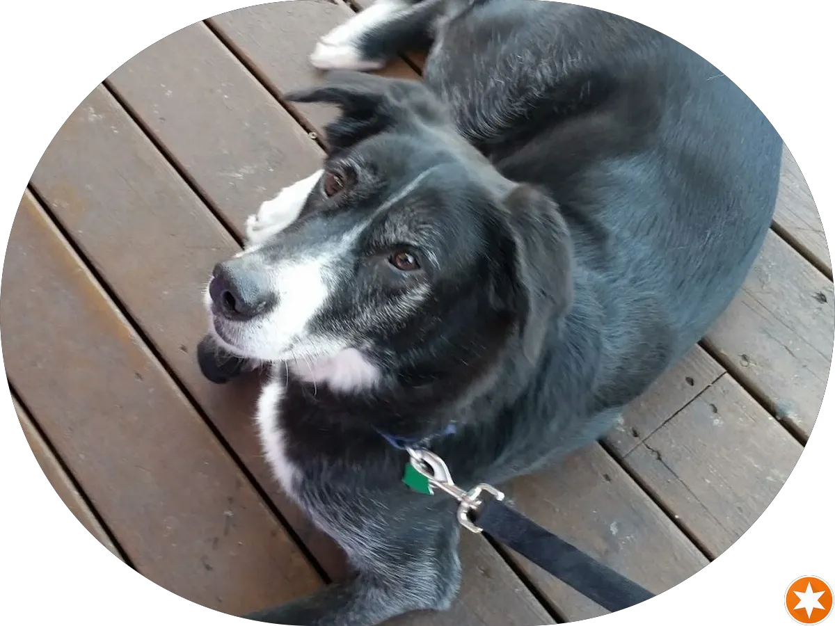 Berkshire Hathaway HomeServices, Fox & Roach, Realtors: Marina Smirnova photo 2