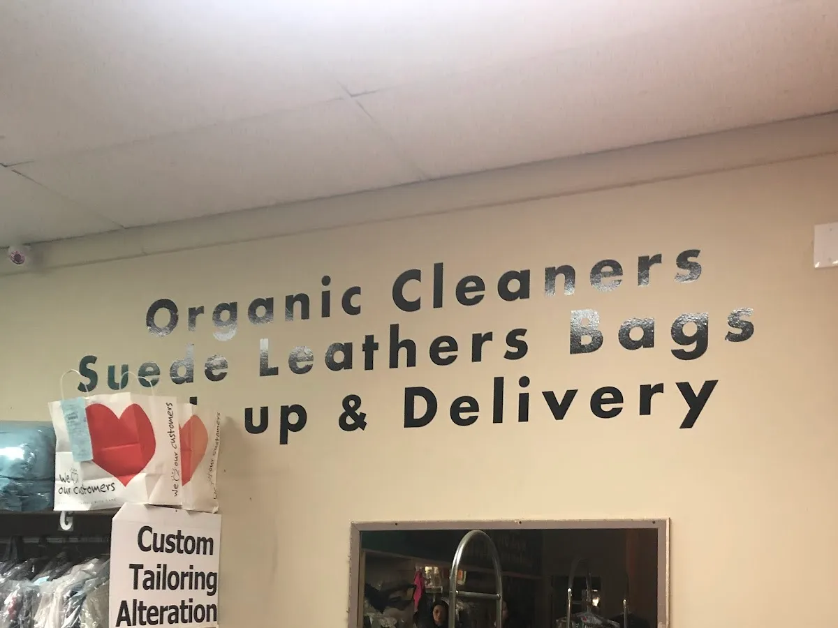 Berlin Discount Cleaners photo 5