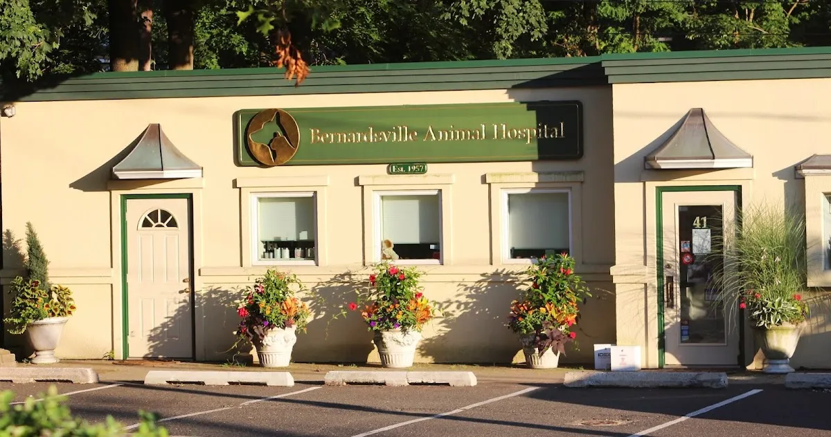 Bernardsville Animal Hospital