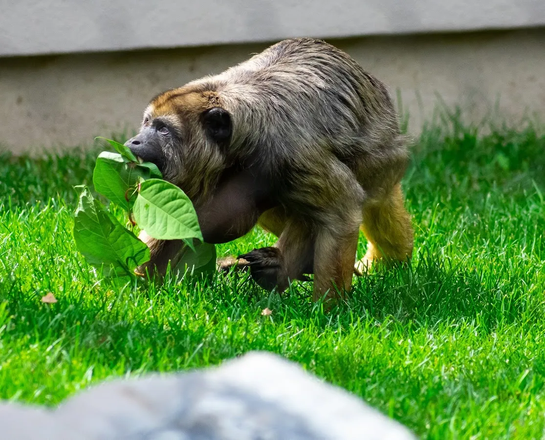 Best Shot Photography