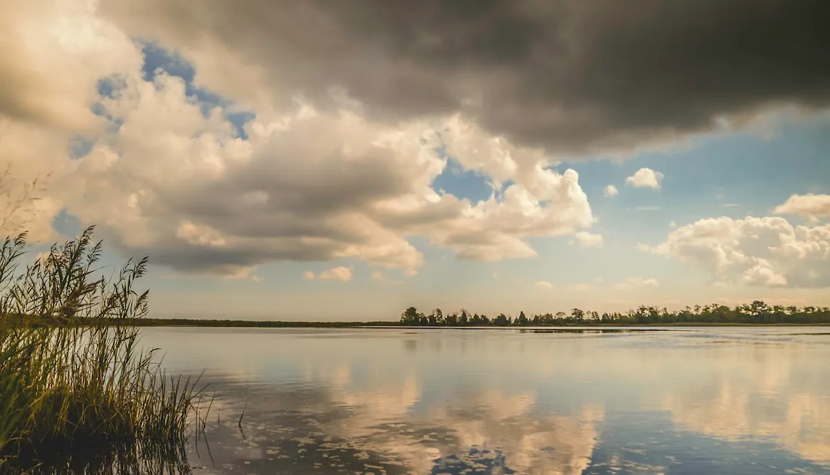 Beverly Augello Photography