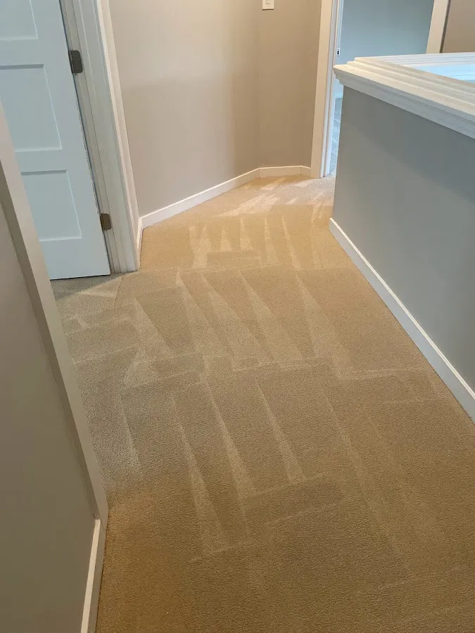 BG Carpet and Upholstery Cleaning