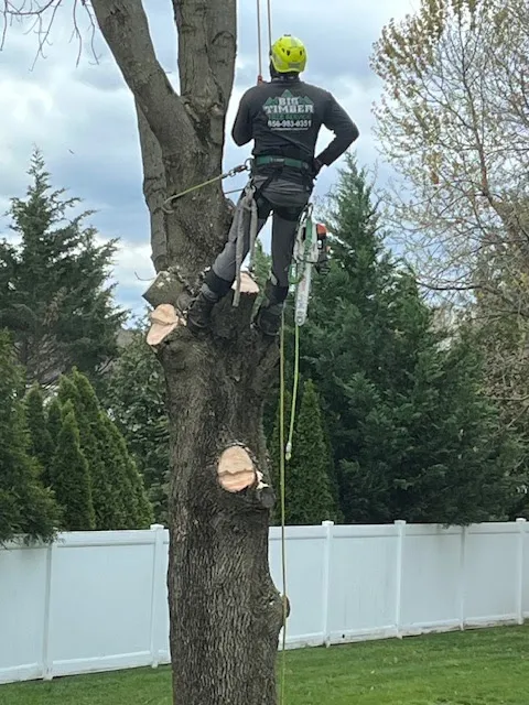 Big Timber Tree Service LLC