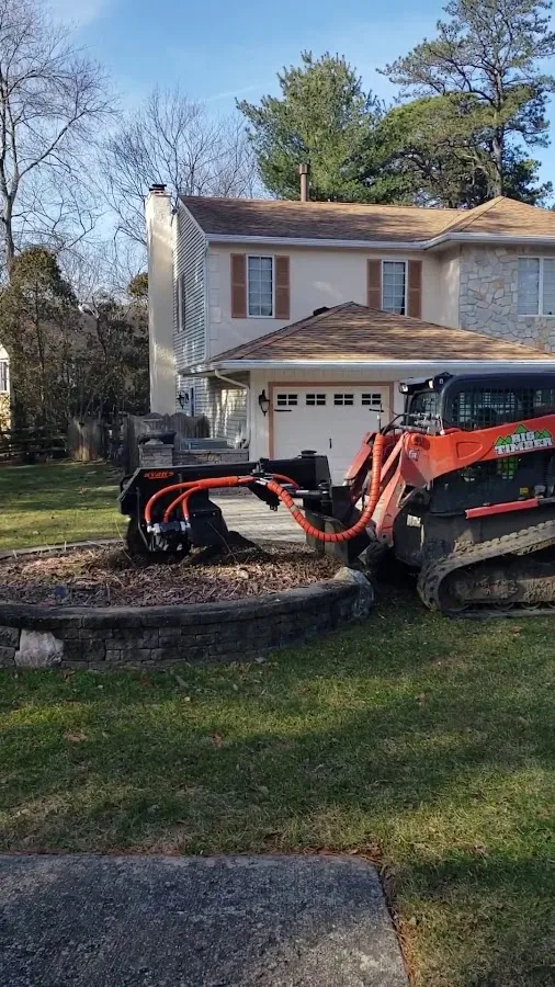 Big Timber Tree Service LLC photo 3