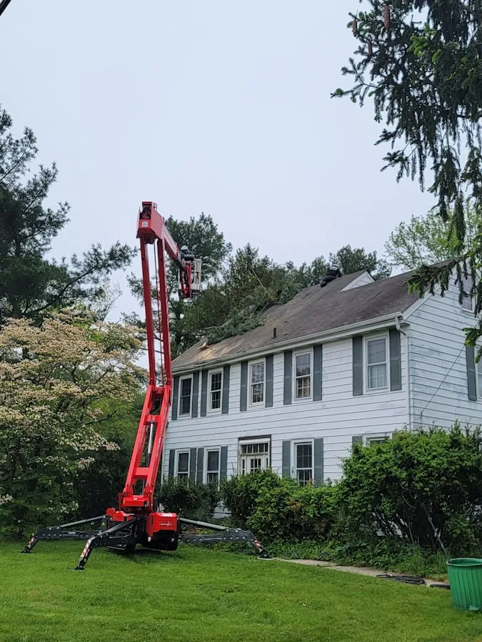 BigTimber Tree Service LLC photo 2