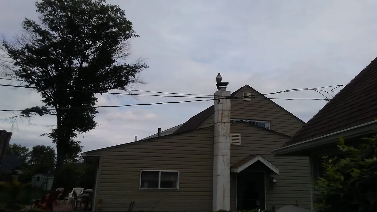 Billy D's Bar-B-Q photo 2