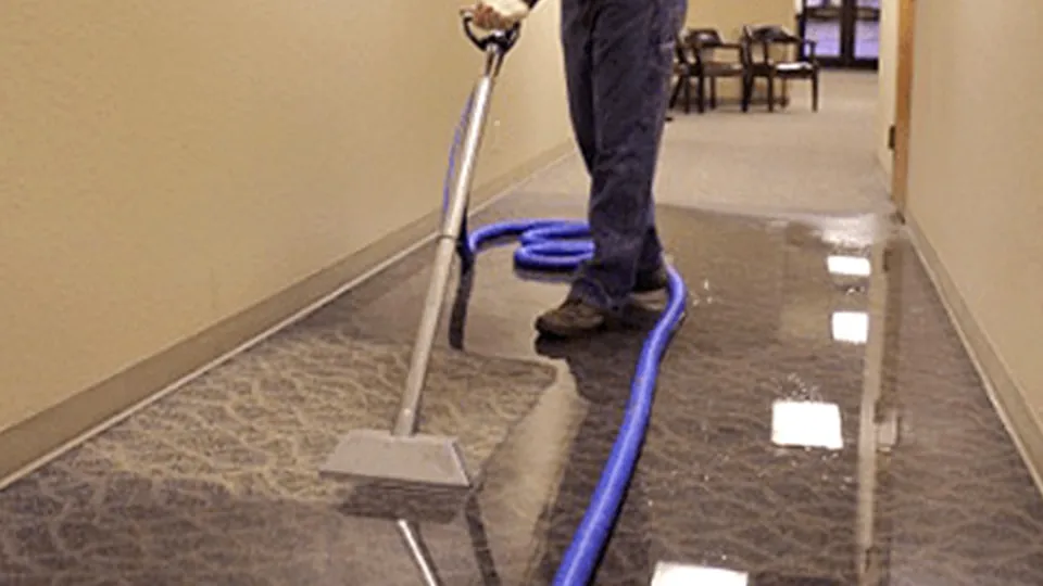 Bioclean Water/Flood Cleaning & Carpet Cleaning