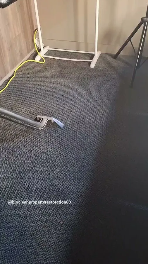 Bioclean Water/Flood Cleaning & Carpet Cleaning photo 4