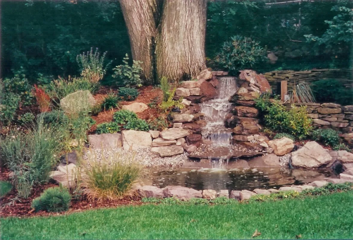 Birch Grove Landscaping Inc photo 2