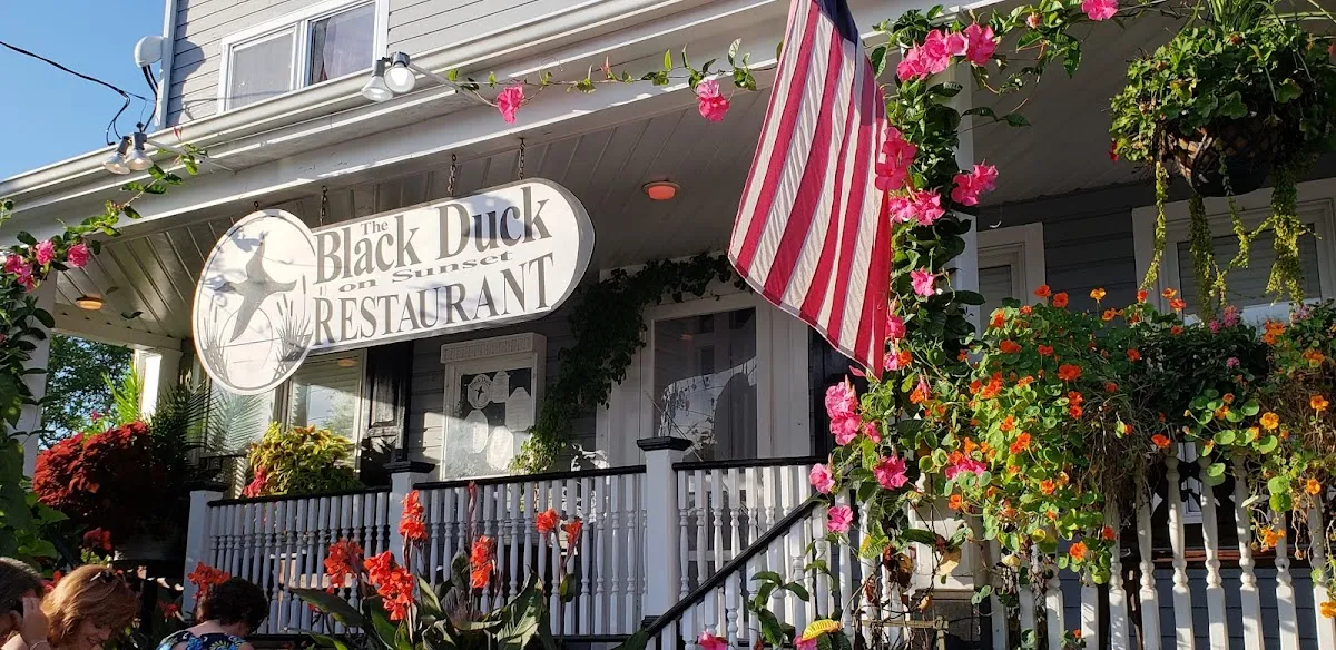 Black Duck On Sunset