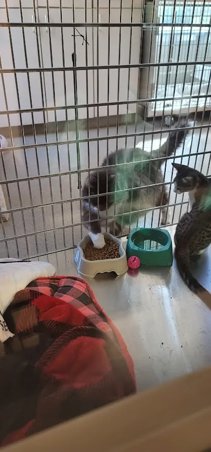 Blackwood Animal Hospital photo 2