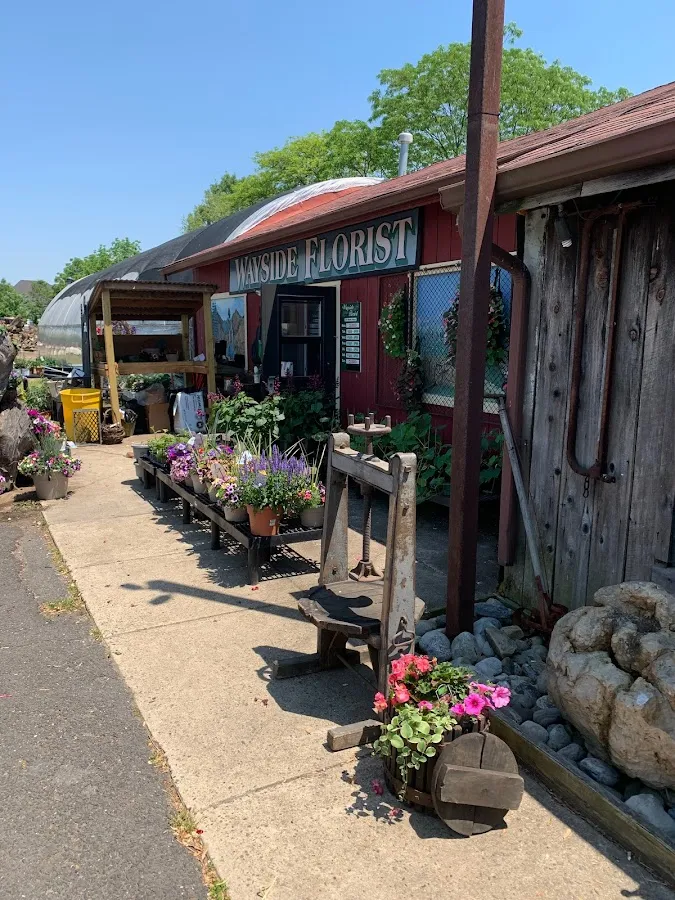 Blake Dimon's Wayside Florist