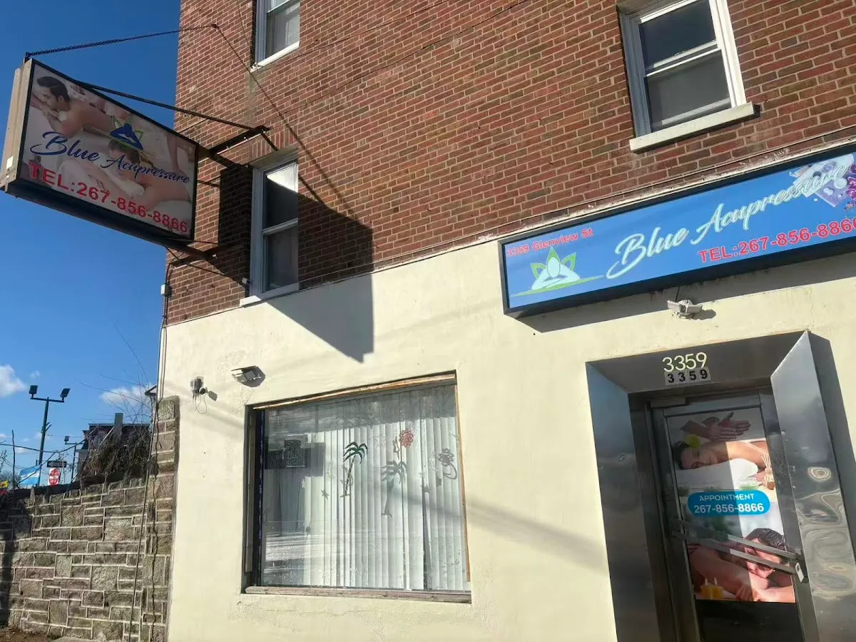 Blue acupressure photo 2