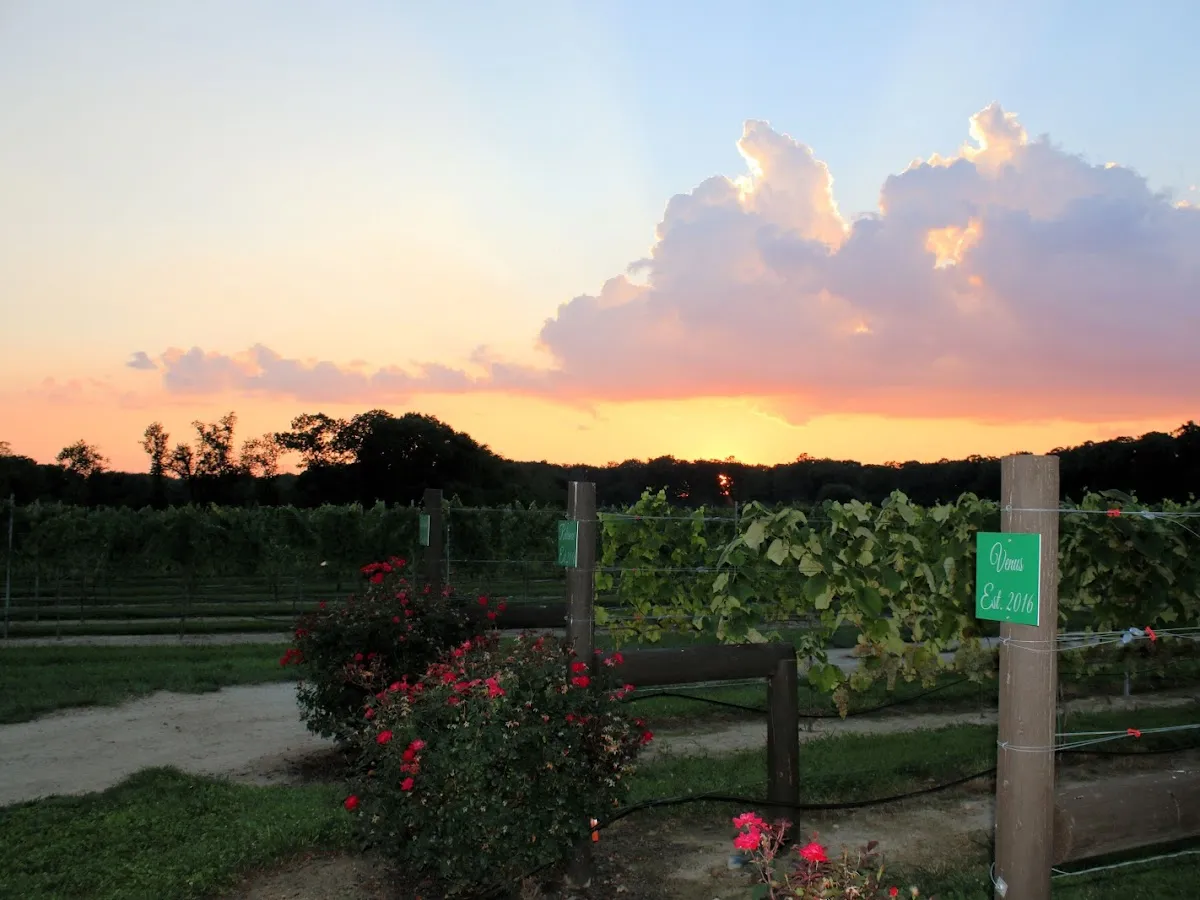 Blue Cork Winery and Vineyard