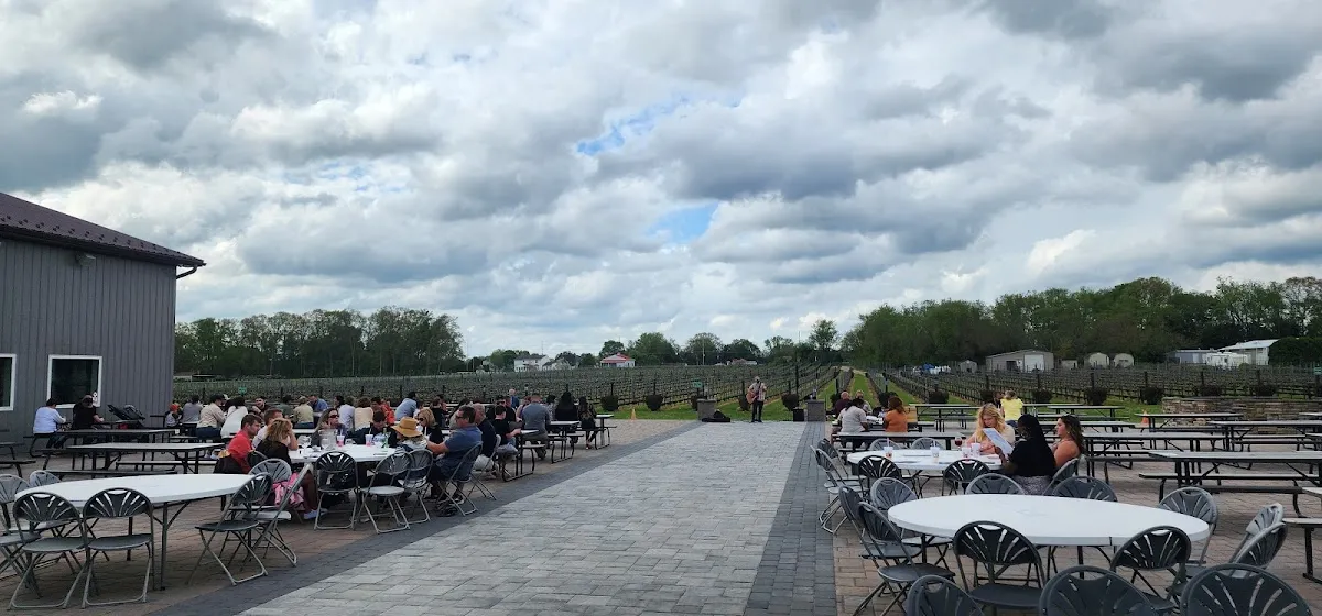 Blue Cork Winery and Vineyard photo 4