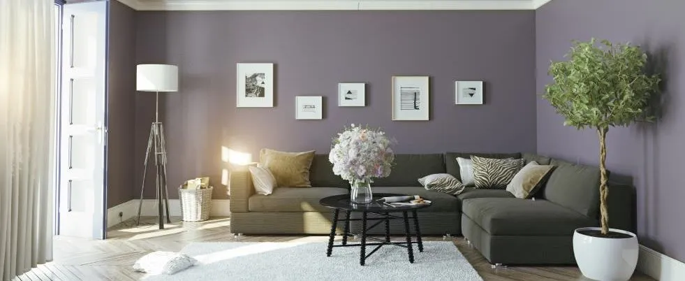 Blue Frog Painting Co., LLC photo 2