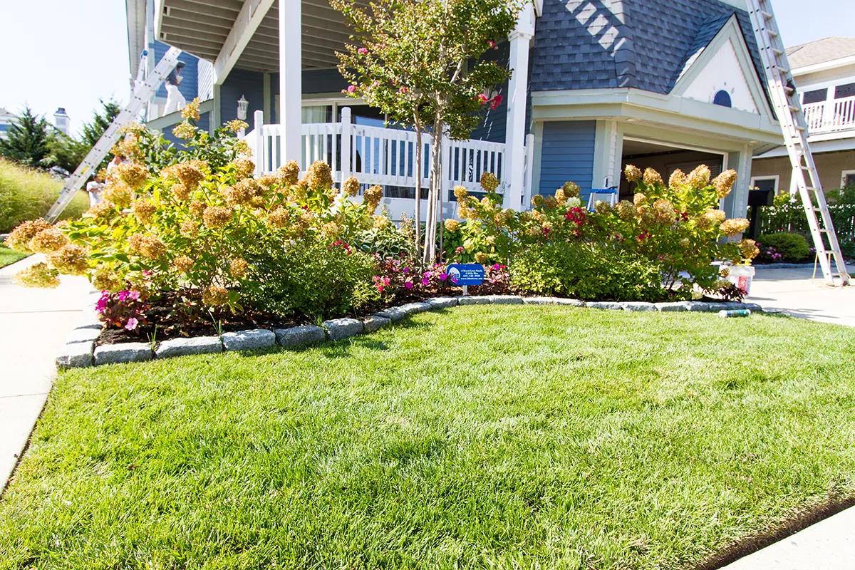 Blue Quality Lawn Care