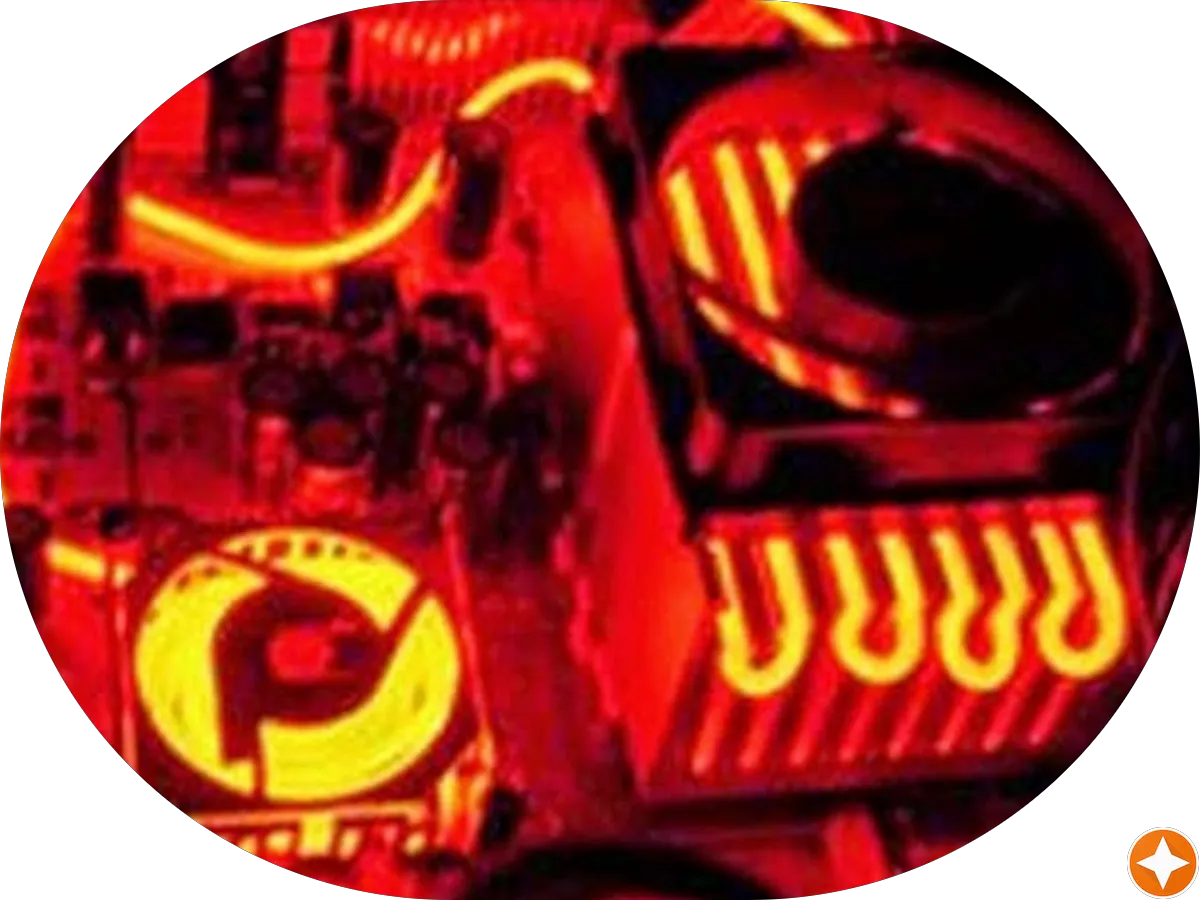 Blue Springs Kennel photo 2