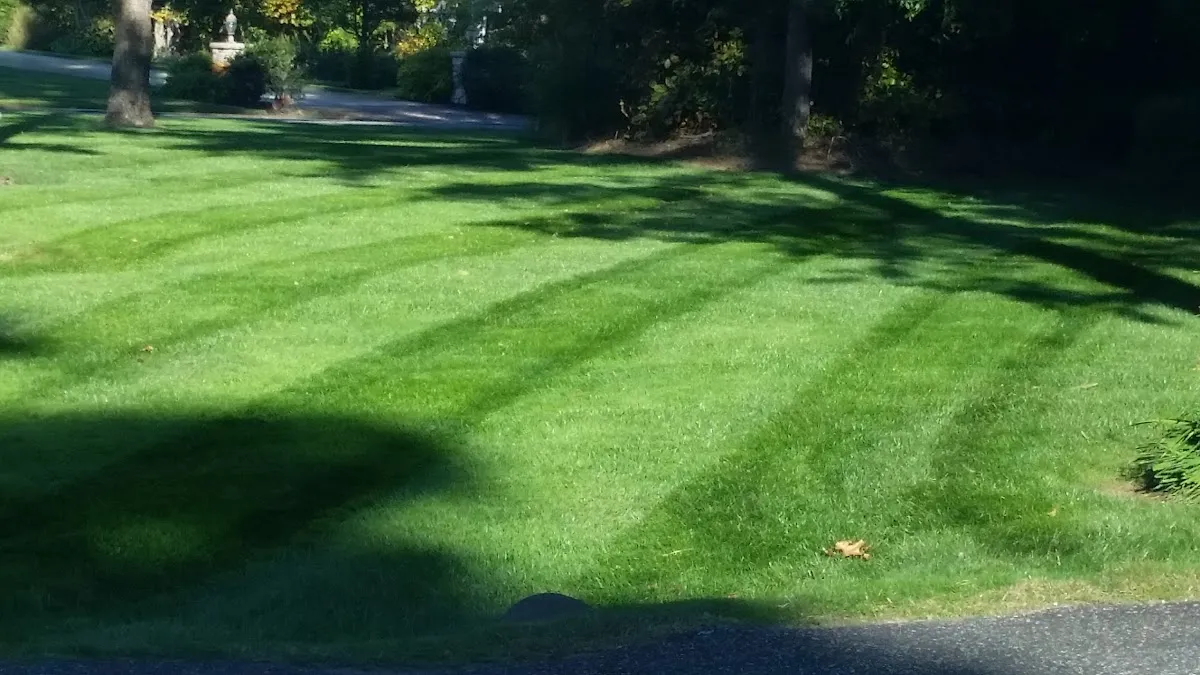Blue Star Lawn Care