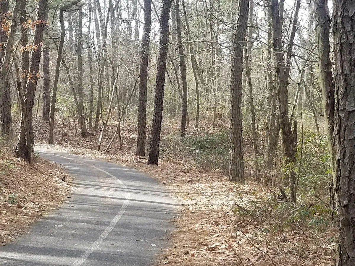 Blueberry Hill Trail Parking photo 2