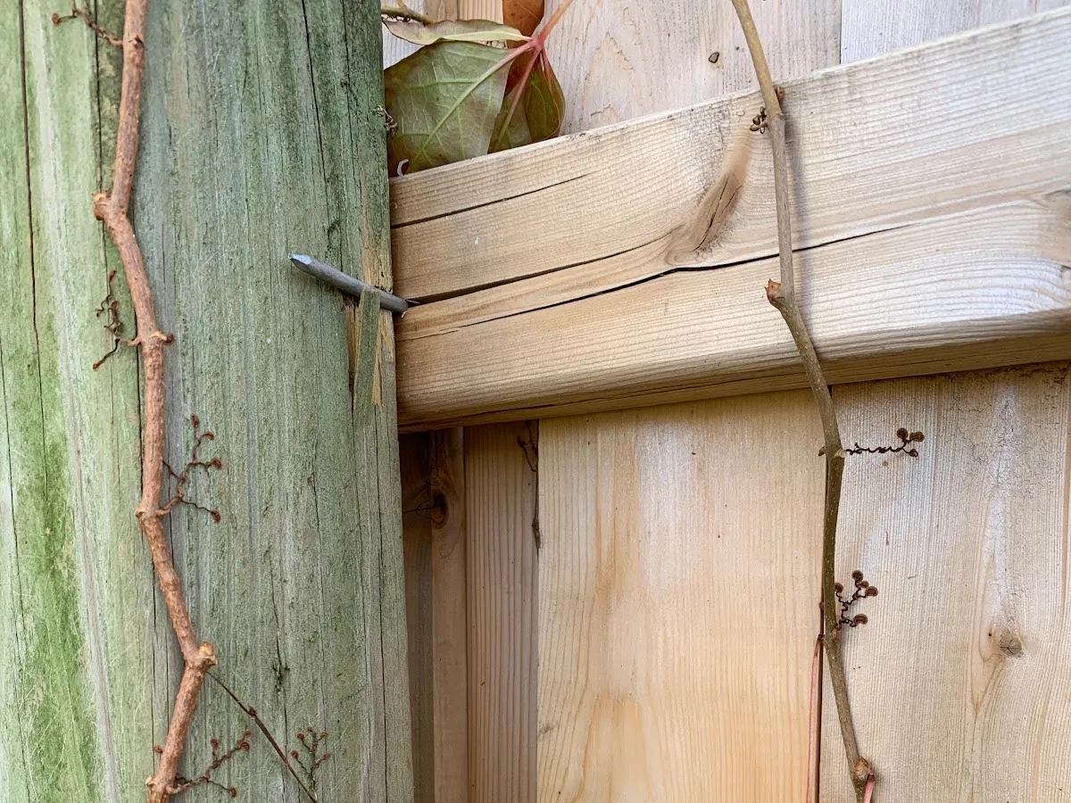 Bob White Fence Co. LLC photo 4