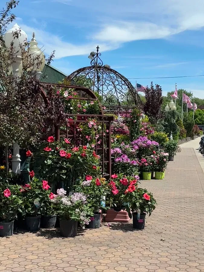 Bob's Garden Center photo 3