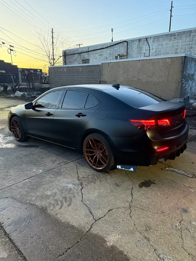 Bocifer The Painter photo 2