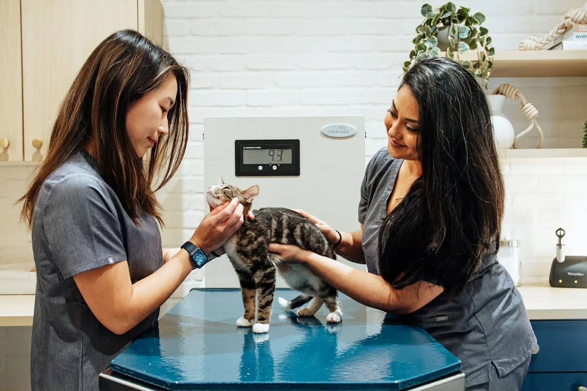 Bond Vet - Upper West Side at 91st Street