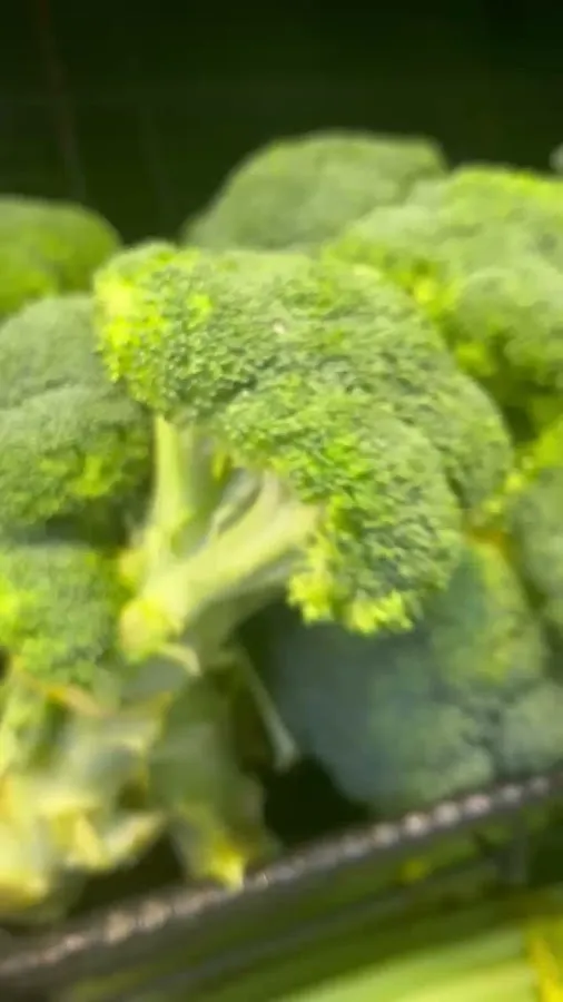 Bonterra Market photo 4