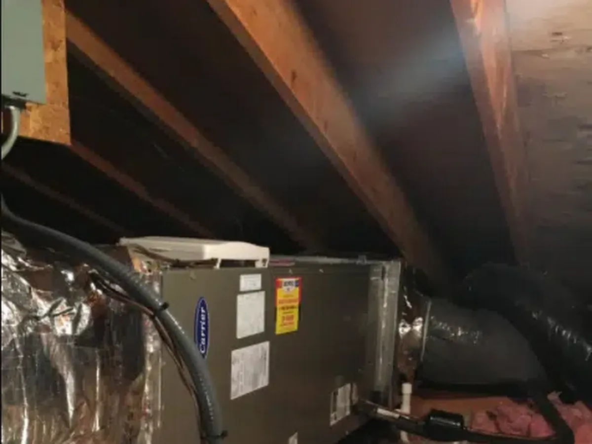 Bovio Rubino Service