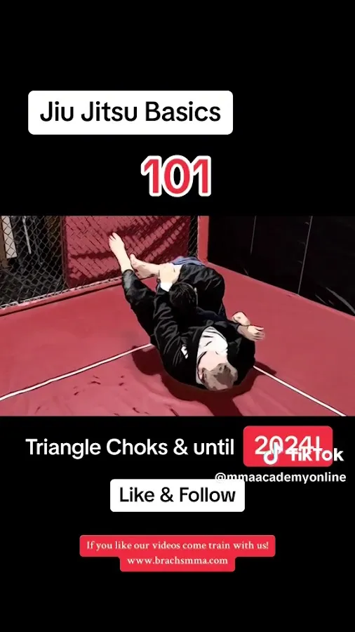 Brach's MMA, Llc photo 3